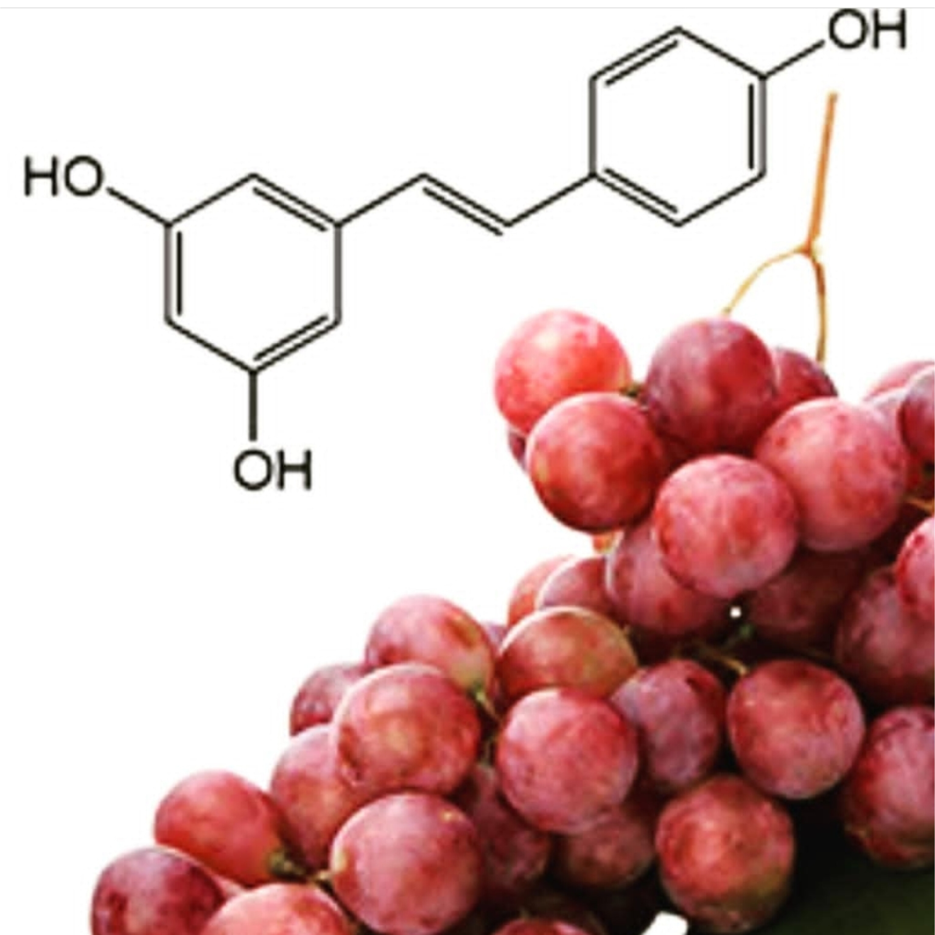 رسوراترول چیست و تاثیر اعجاز جوانی آن بر پوست و مو