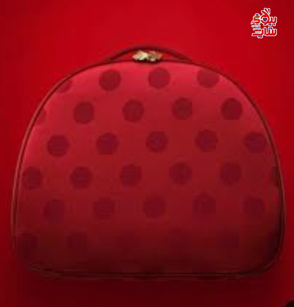 کیف هالیدی 2025 استی لادر اورجینال 2025 HOLIDAY Estee Lauder Train Case/ Cosmetic Bag/ Make-up Bag